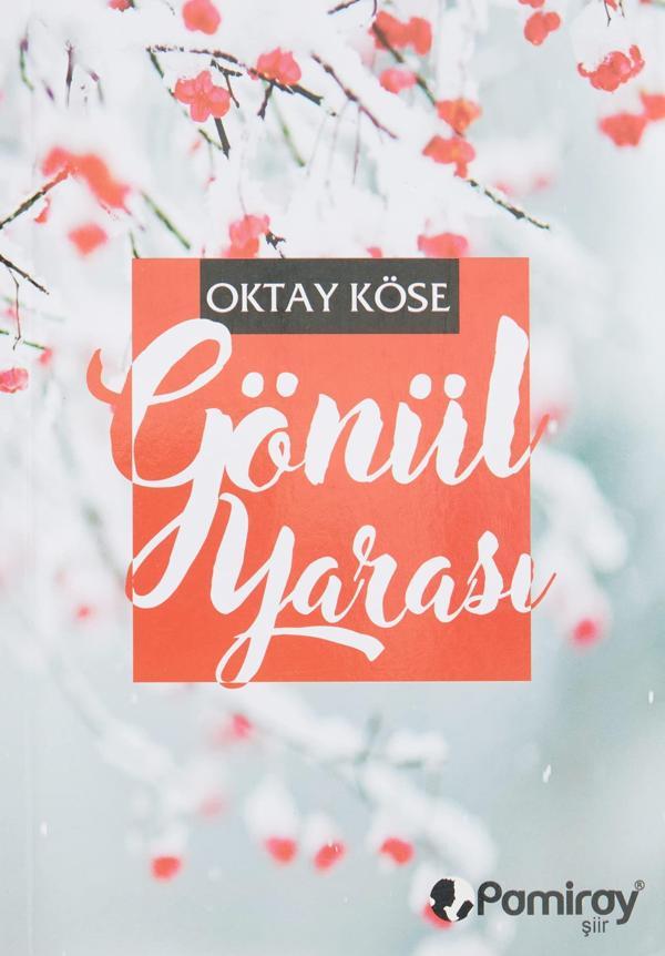 Gönül Yarası - Pamiray Yayınları - Image 1
