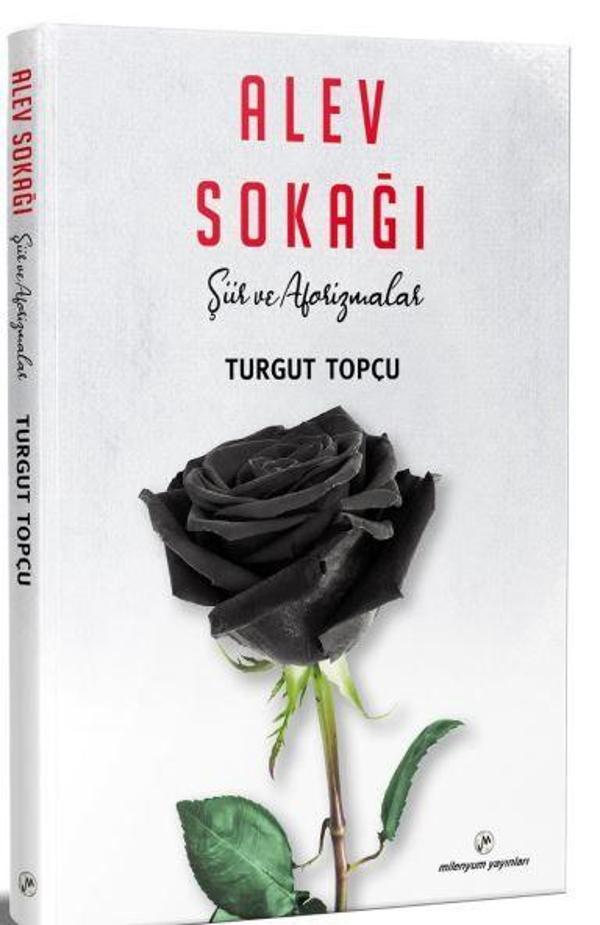 Alev	Sokağı - Milenyum Yayınları - Image 1