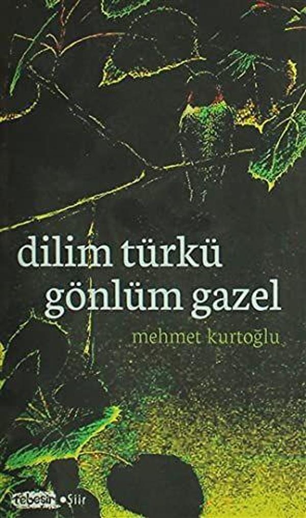 Dilim Türkü Gönlüm Gazel - Tebeşir Yayınları - Image 1