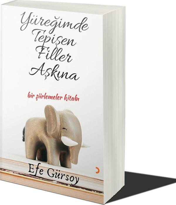 Yüreğimde Tepişen Filler Aşkına - Cinius Yayınevi - Image 1