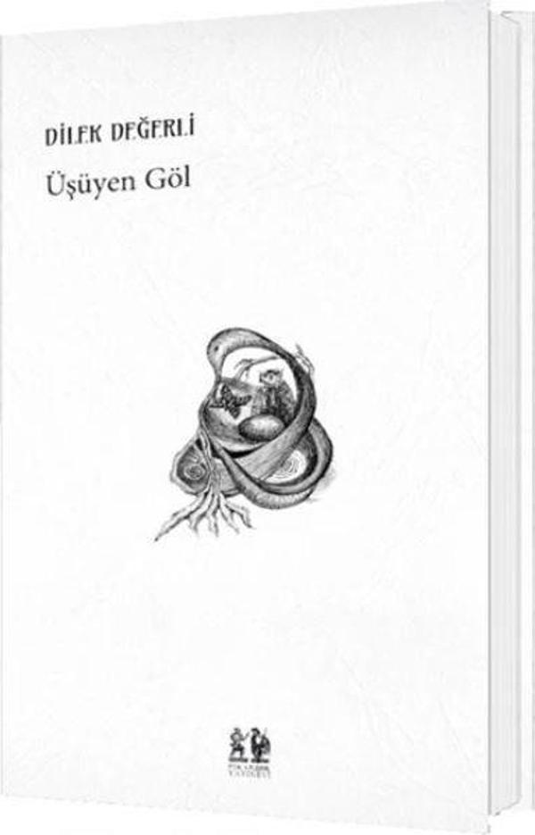 Üşüyen Göl - Pikaresk Yayınevi - Image 1