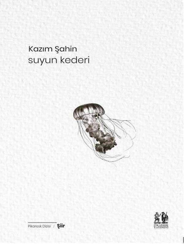 Suyun Kederi - Pikaresk Yayınevi - Image 1