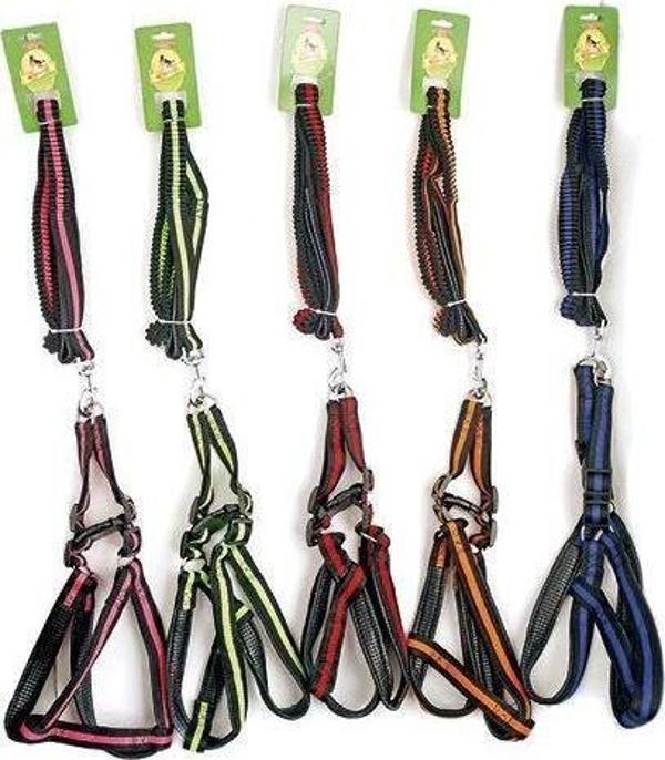 ROYALİST 201644 ELASTİK KÖPEK KOŞUM SETİ 2.5CM  - Image 1