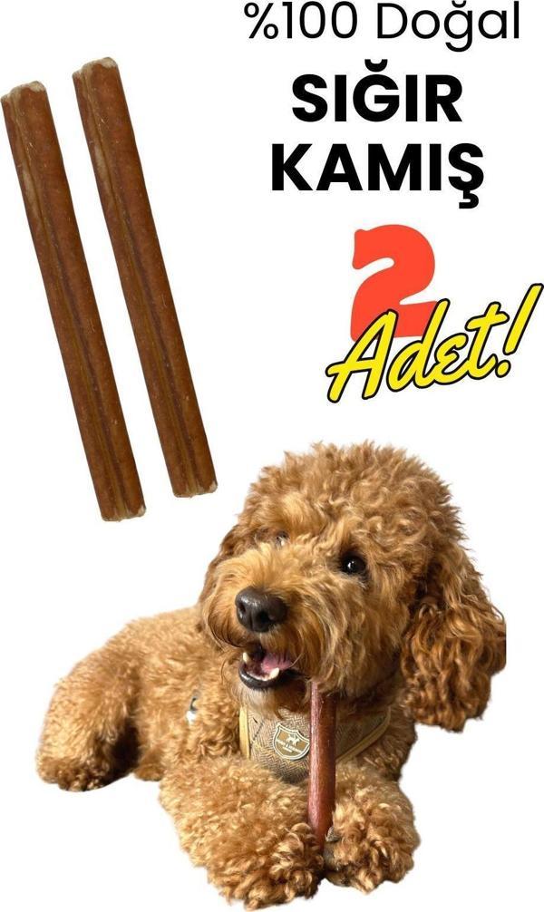 Havhav %100 Doğal Sığır Kamış 2 Adet Köpek Çiğneme Çubuğu Kurutulmuş Taze Dana Kamış Köpek Ödülü - Image 1