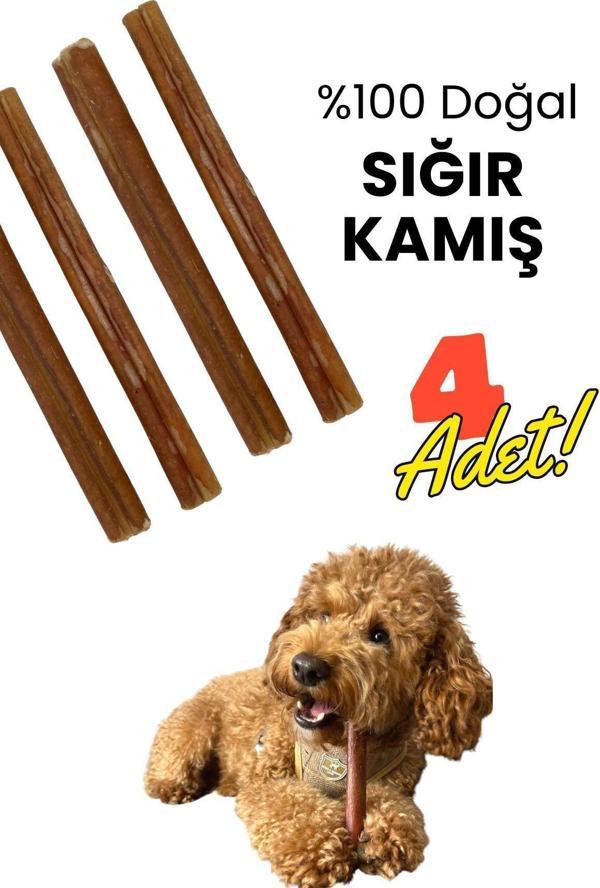 Havhav Köpek Ödül Kemiği 4 Adet Doğal Dana Kamış Köpek Çiğneme Çubuğu 15 Cm Köpek Ödül Maması - Image 1