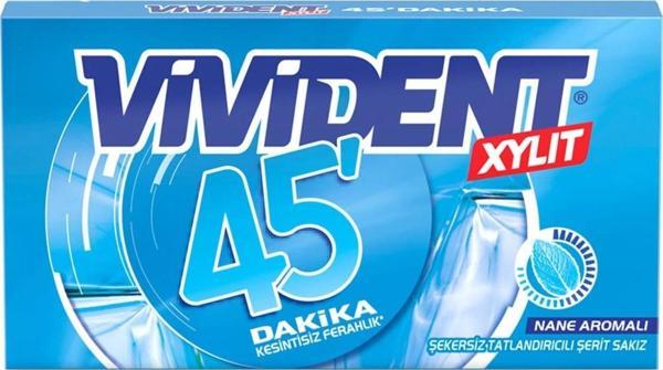 VİVİDENT 45DK NANE - Image 1