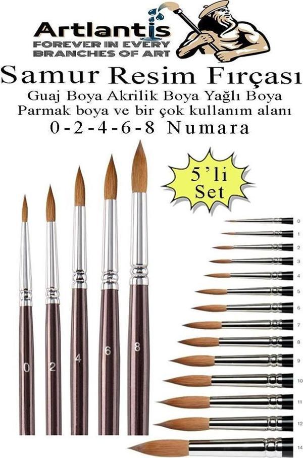 Resim Fırçası 0 - 2 - 4 - 6  - 8 Numara 1 Paket 5 li Samur Yuvarlak Uçlu Fırça Seti Guaj Sulu Akrilik Yağlı Boya Fırçala - Image 1