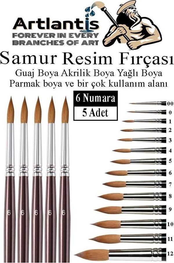 Resim Fırçası 6 Numara 5 li 1 Paket Samur Yuvarlak Uçlu Fırça Seti Guaj Sulu Akrilik Yağlı Boya Fırçaları - Image 1