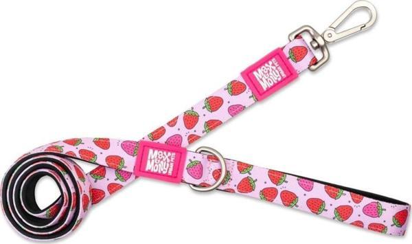 Max Molly Strawberry Dream Köpek Gezdirme Kayışı Large - Image 1