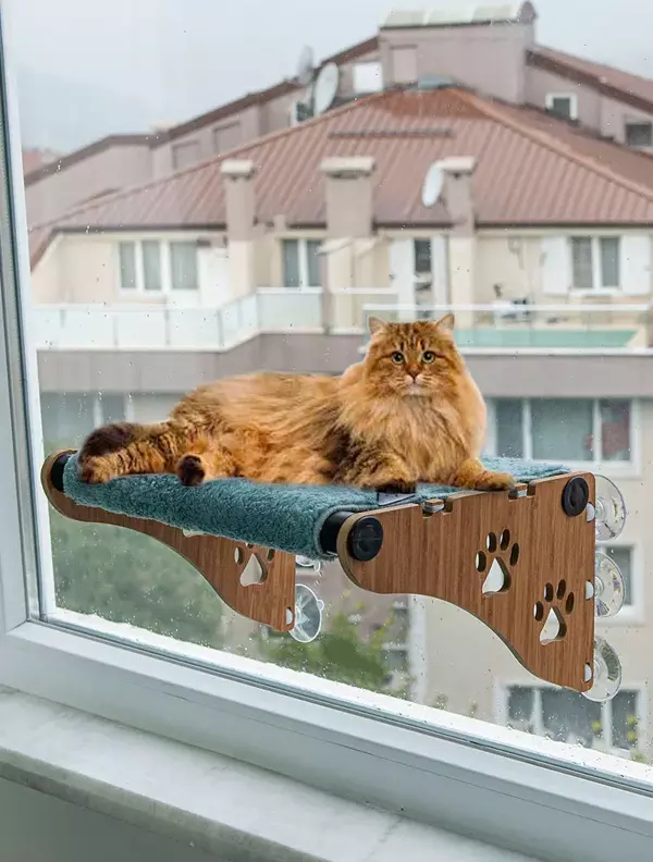 Ata Home Ahşap Cama Yapışan Kedi Yatağı Vantuzlu Cam Yatağı Terası Gri - Image 1