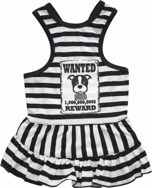 Doggy Dolly Wanted Askılı Çizgili Köpek Elbisesi XLarge - Image 1