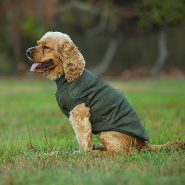 Kuccu Kuccu Soft Shell Köpek Kamuflaj Haki XLarge - Image 1
