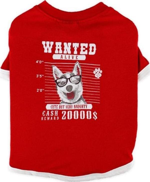 Zampa Wanted Kırmızı Köpek T-Shirt XSmall - Image 1