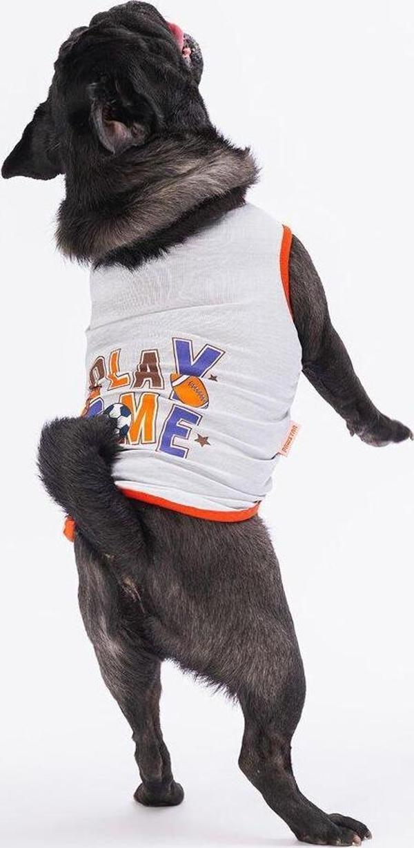 Pawstar Grey Sporty Köpek T-Shirt XLarge - Image 1