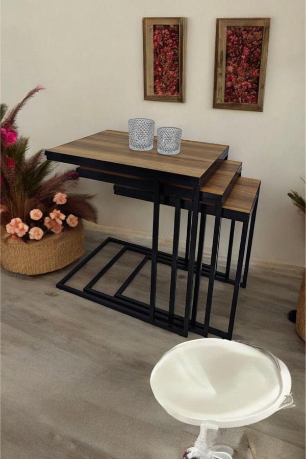 Mobievim Siyah Metal Ayaklı Ceviz Üst Tablalı C Zigon Sehpa 40x55 cm - Image 1