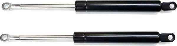 Baza Amortisörü 38 cm 750n (1 Çift)  - Image 1