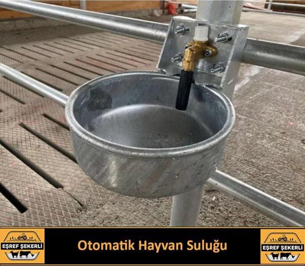 Eşref Şekerli Otomatik Büyükbaş Hayvan Suluğu - Image 1