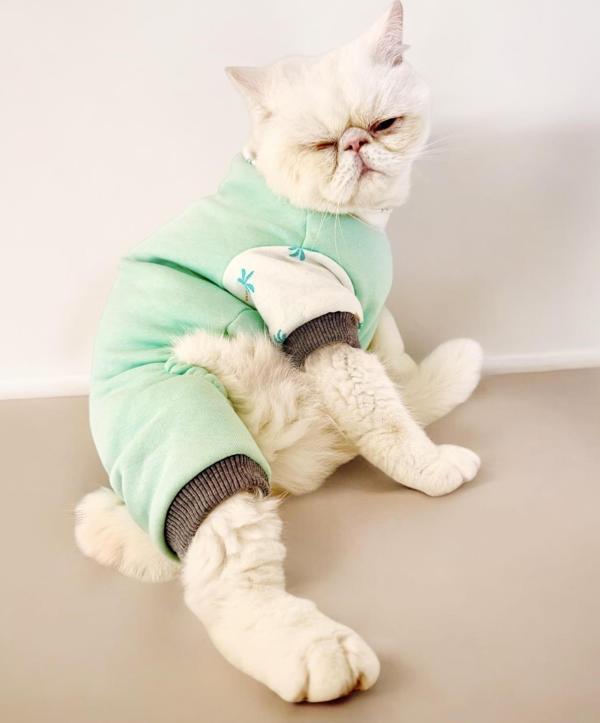 Minty Palm Kalın Penye Kedi Tulum Pijama - Image 1