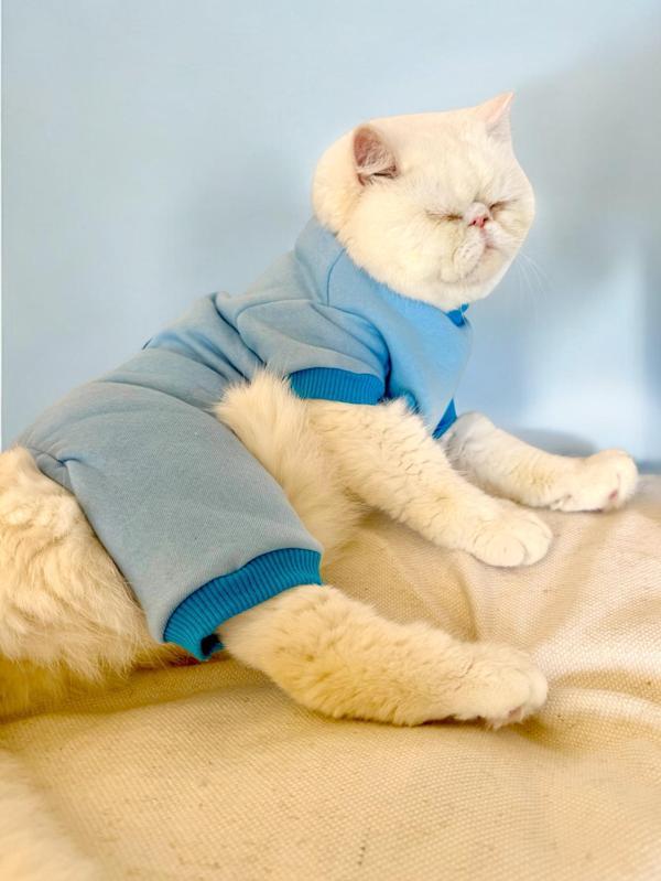 Blue Bunny Kalın Penye Kedi Tulum Pijama - Image 1