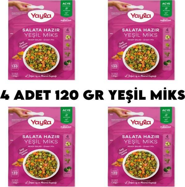 4 Adet Yeşil Miks Hazır Salata - Image 1