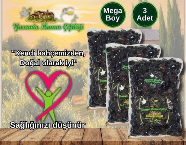 3×1000 GR Mega boy iri siyah zeytin - Image 1