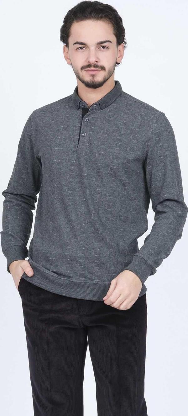 Raymons Erkek Desenli Polo Yaka Triko Sweat 6782251 Antrasit - Image 1