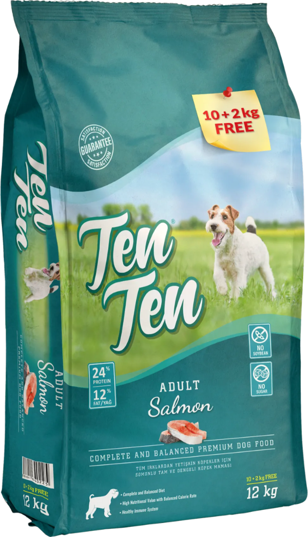 Ten Ten Somonlu Yetişkin Köpek Maması 12 kg - Image 1