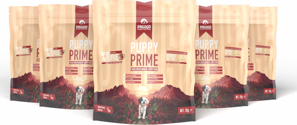 Puppy Prime 10 Kg | Kuzu Etli | Yavru Köpek Maması (5 PAKET) - Image 1