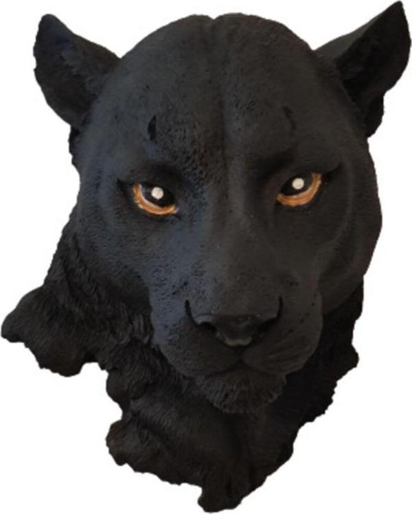Arose Siyah Jaguar Puma Duvar Dekoru - Image 1