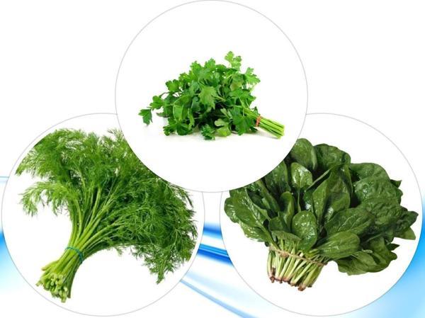 3'LÜ YERLİ HOBİ TOHUM SETİ-12 (HEDİYE SOLUCAN GÜBRESİ) - Image 1