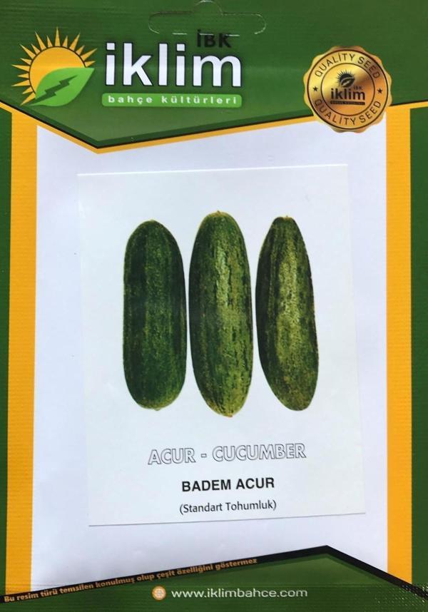 ACUR TOHUMU BADEM - TÜYLÜ 5 GR TAKRİBİ 80 ADET TOHUM - Image 1