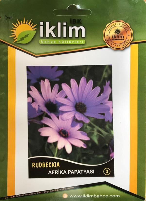 AFRİKA PAPATYASI ÇİÇEĞİ TOHUMU-3 - Image 1