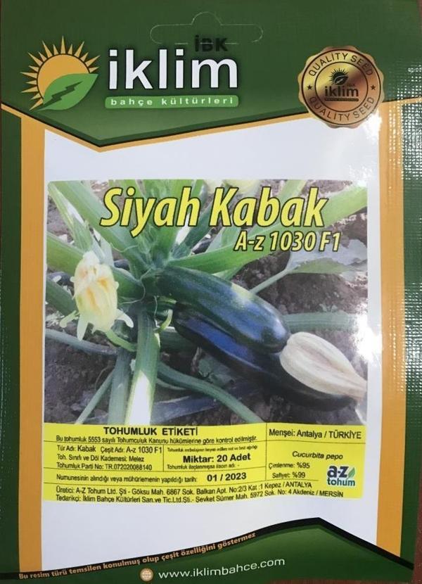 A-Z TOHUM KABAK TOHUMU A-Z 1030 F1 SİYAH KABAK - 20 ADET TOHUMLUK - Image 1