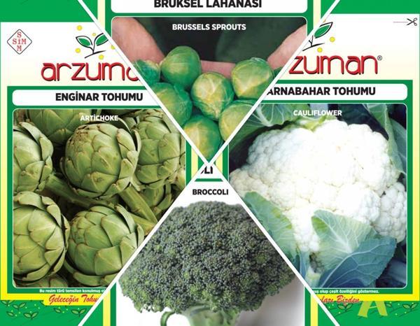 BROKOLİ-KARNABAHAR-BRÜKSEL LAHANASI-ENGİNAR 4'LÜ TOHUM SETİ - Image 1