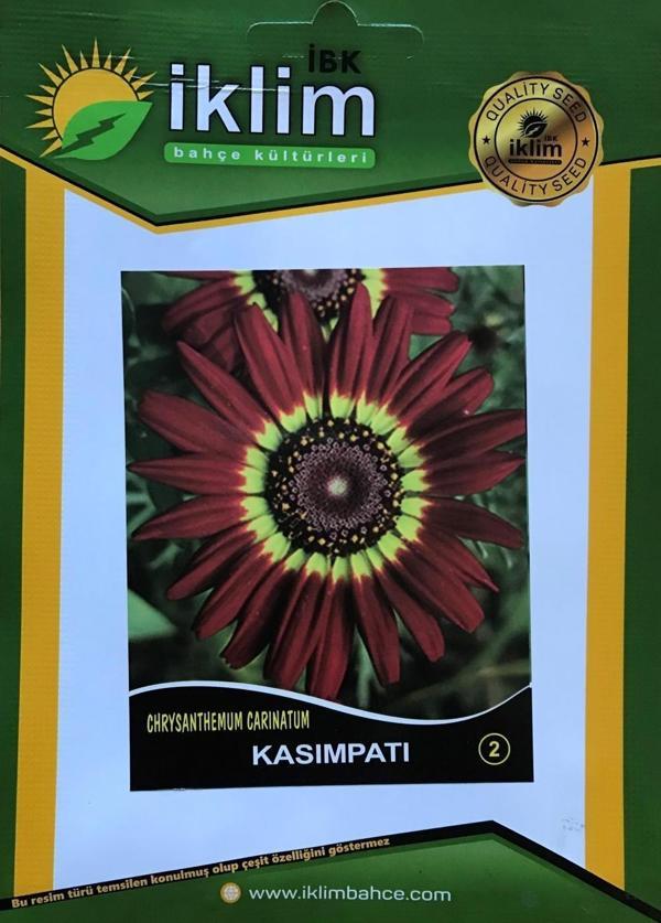 KASIMPATI ÇİÇEĞİ TOHUMU-2 KIRMIZI TAKRİBİ 20 ADET TOHUM - Image 1