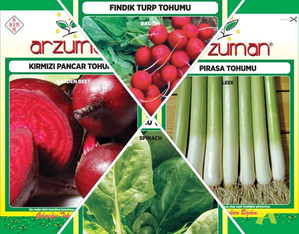 KIRMIZI PANCAR - FINDIK TURP - ISPANAK - PIRASA 4'LÜ TOHUM SETİ - Image 1