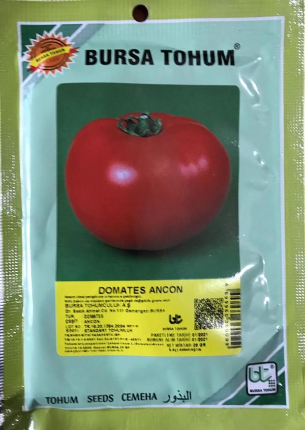 DOMATES TOHUMU ANCON 25 GR ORT 6250 ADET TOHUM - Image 1
