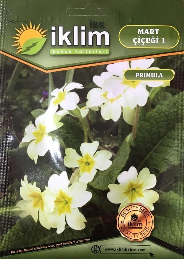 Mart Çiçeği Çiçek Tohumu 1 - Primula Acaulis (~ Takribi 30 Tohum) - Image 1