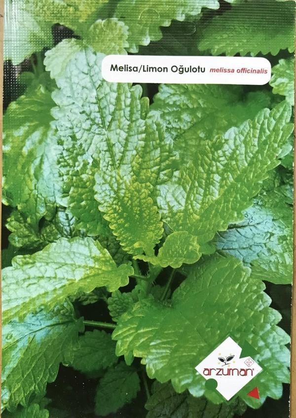 MELİSA TOHUMU 50 ADET - Image 1