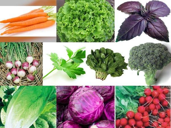 YERLİ 10 ÇEŞİT KIŞLIK TOHUM SETİ-2 ORT 2000 AD+GÜBRE - Image 1
