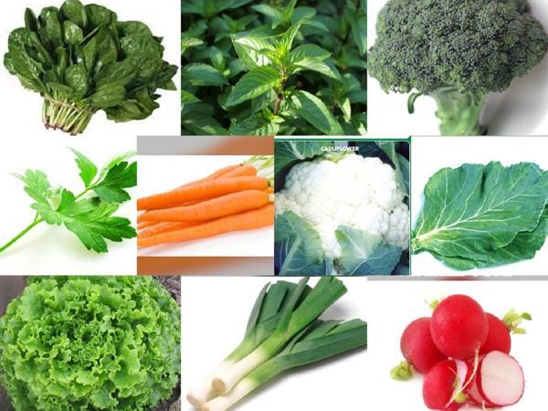 YERLİ 10 ÇEŞİT KIŞLIK TOHUM SETİ-3 ORT 1600 AD+GÜBRE - Image 1