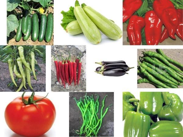 Yerli 10 Çeşit Sebze Tohumu Seti Ort 830 Ad Tohum+Gübre - Mix 4 - Image 1