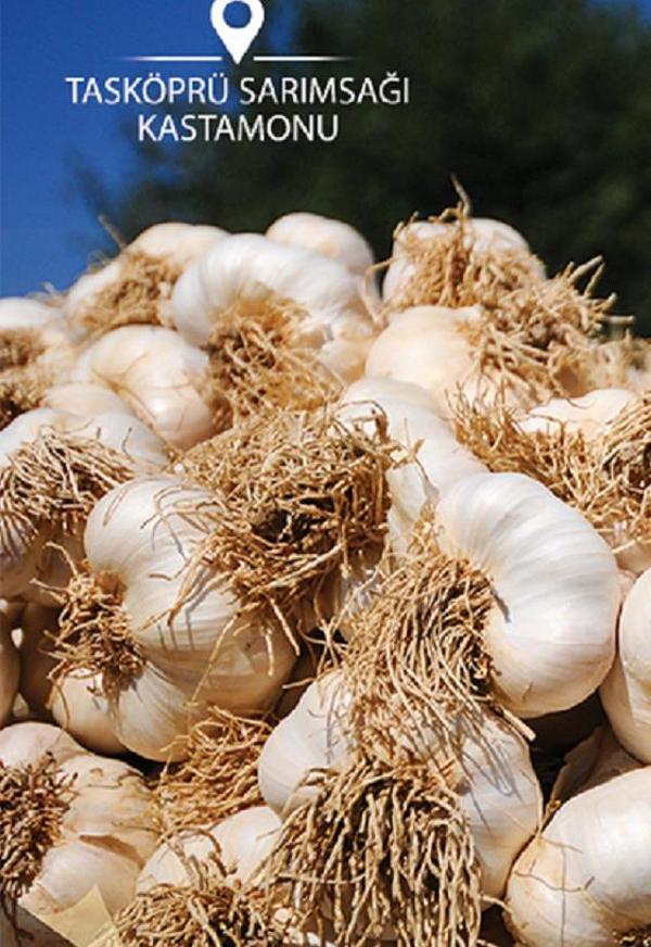 MEŞHUR KASTAMONU TAŞKÖPRÜ SARIMSAĞI 500 GR - Image 1