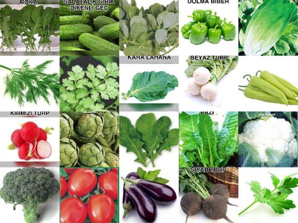 YERLİ 20 ÇEŞİT TOHUM SETİ-2 ORT 4000 AD+GÜBRE - Image 1