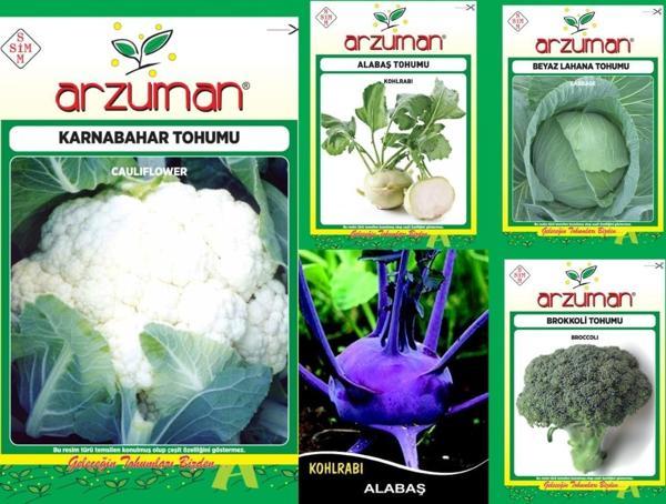 MOR ALABAŞ-BEYAZ ALABAŞ-KARNABAHAR-BROKOLİ-BEYAZ LAHANA 5'Lİ TOHUM SETİ - Image 1