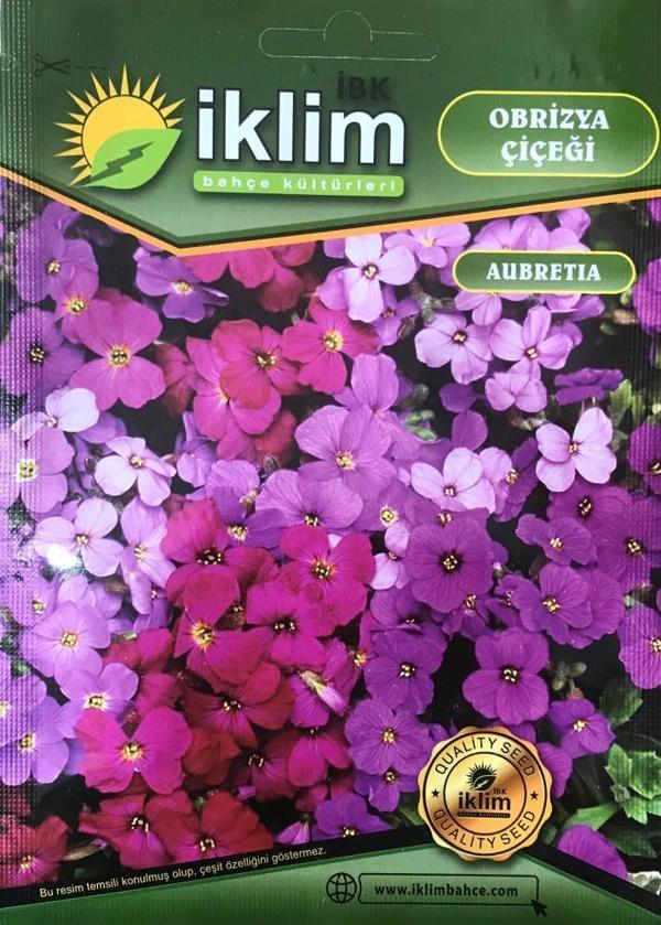 Obrizya Çiçek Tohumu - Aubretia Deltoidea (~ Takribi 40 Tohum) - Image 1