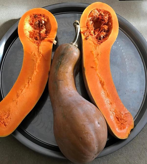 Yerli Ata Tohumu Ampul Bal Kabağı 5 Adet - Image 1