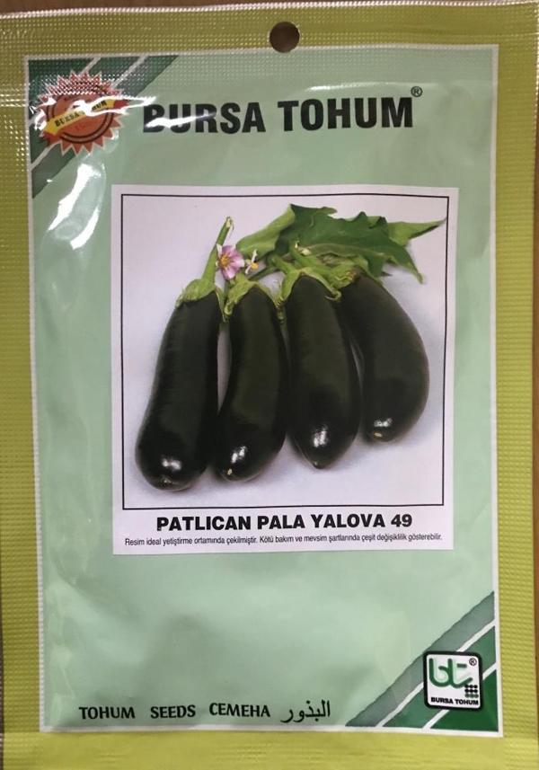 PALA PATLICAN YALOVA 49 (SİYAHIMSI MOR) 25 GR TAKRİBİ 5000 ADET TOHUM - Image 1