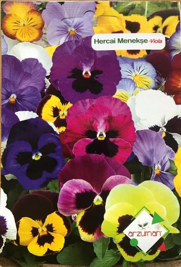 HERCAİ MENEKŞE ÇİÇEĞİ TOHUMU 100 ADET - KARIŞIK RENK - Image 1