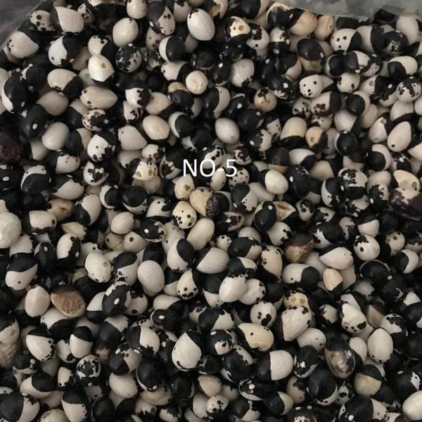 YERLİ AYŞE KADIN SIRIK FASULYE TOHUMU 100 GR (SİYAH BEYAZ) - Image 1